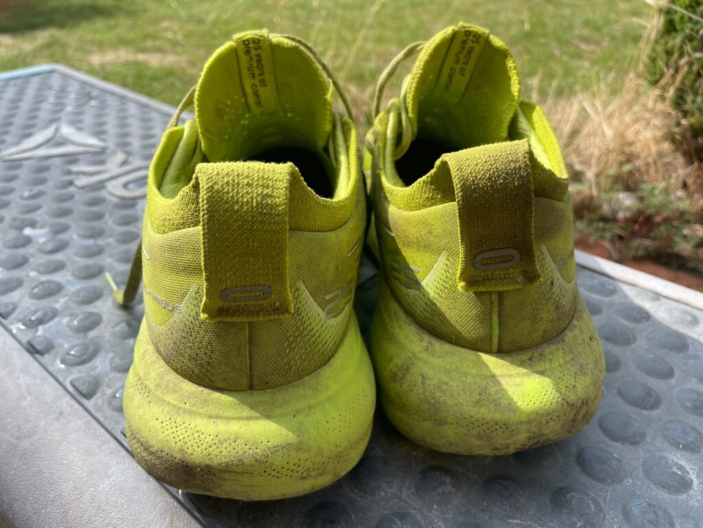 Asics Nimbus 25 shoes